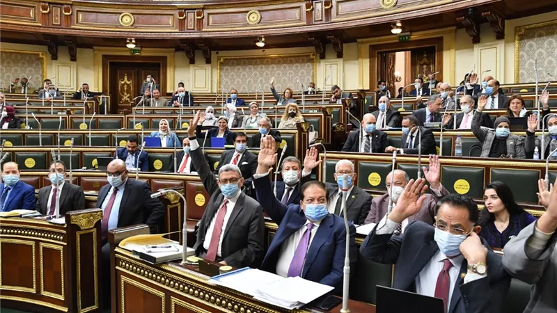 وكيل النواب: كل الاحترام والتقدير لأهالي الصعيد