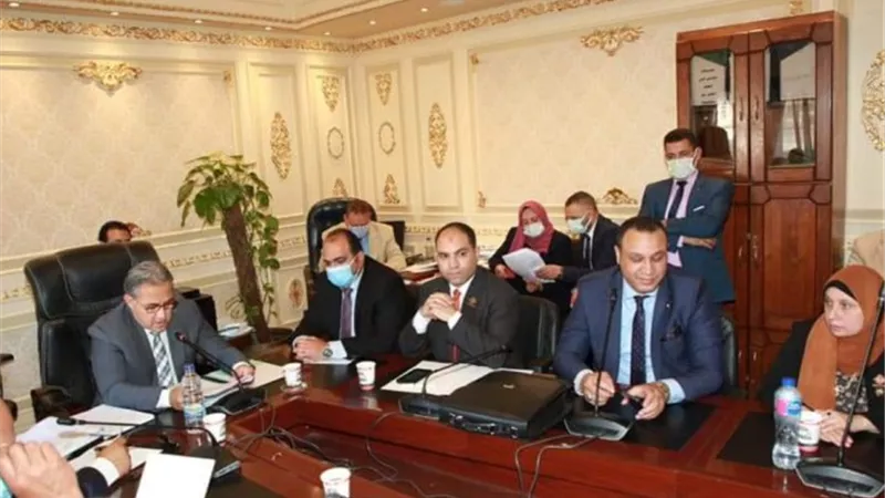 تنسيقية شباب الأحزاب تعد فيديو بمناسبة ذكرى رحيل المشير الجمسي