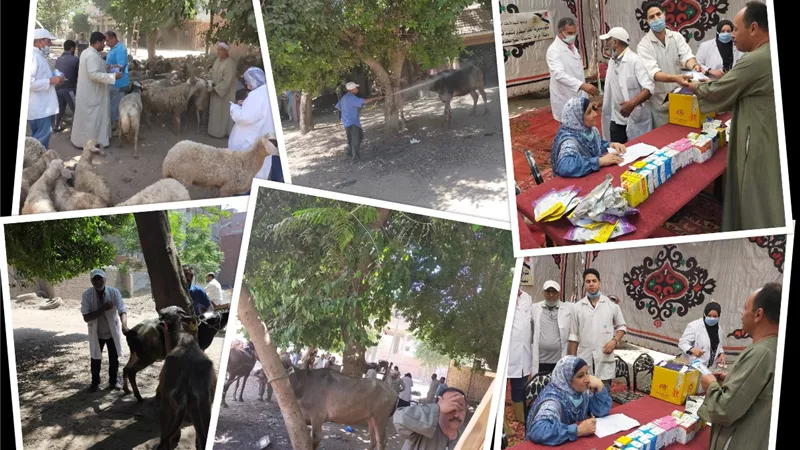 الزراعة: ١١٠ قافلة بيطرية مجانية لعلاج اكثر من ٨٥ الف رأس ماشية و٣٢ الف طائر