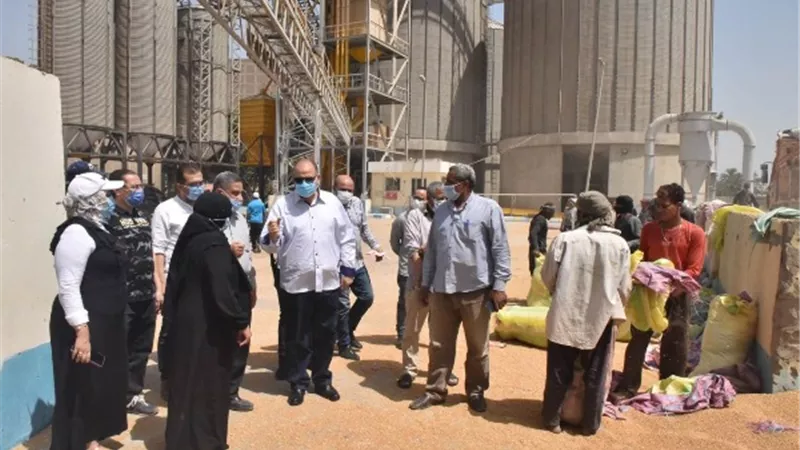 محافظ أسيوط: توريد 148 ألف طن قمح إلى الشون والصوامع وحصاد 233 ألف و171 فدان