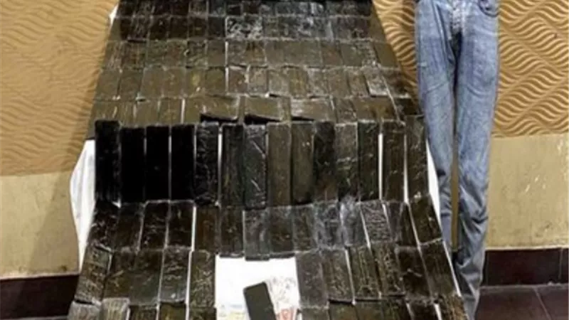 ضبط 150 طربة حشيش بحوزة أحد العناصر بالغربية