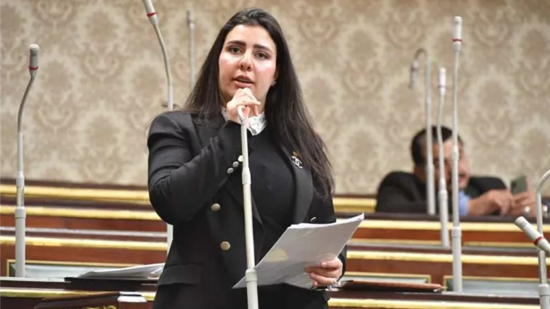 نجاة النائبة سمر سالم من حادث مروع على طريق مدينتي