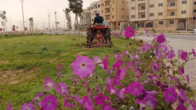 رئيس جهاز 