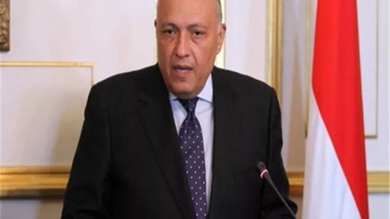 وزيرا الخارجية والرى يصلان إلى الخرطوم