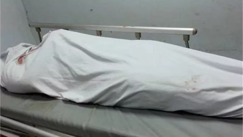 أمن القاهرة يكشف تفاصيل مقتل صاحب عربة مأكولات على يد شريكه بالسلام