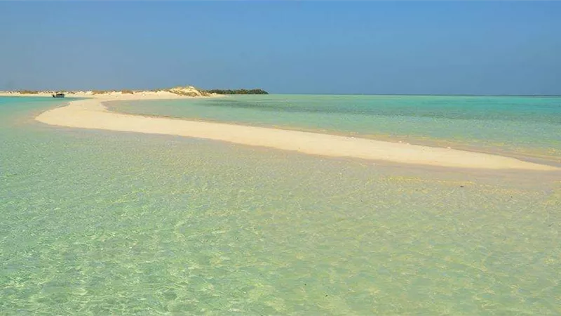 تعرف على مواعيد تحصيل رسوم زيارة محميات البحرالأحمر