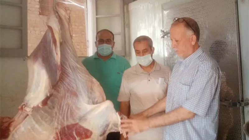 ضبط أدوية بيطرية منتهية الصلاحية وذبح خارج السلخانة وتلاعب بالأسعار باجا بالدقهلية