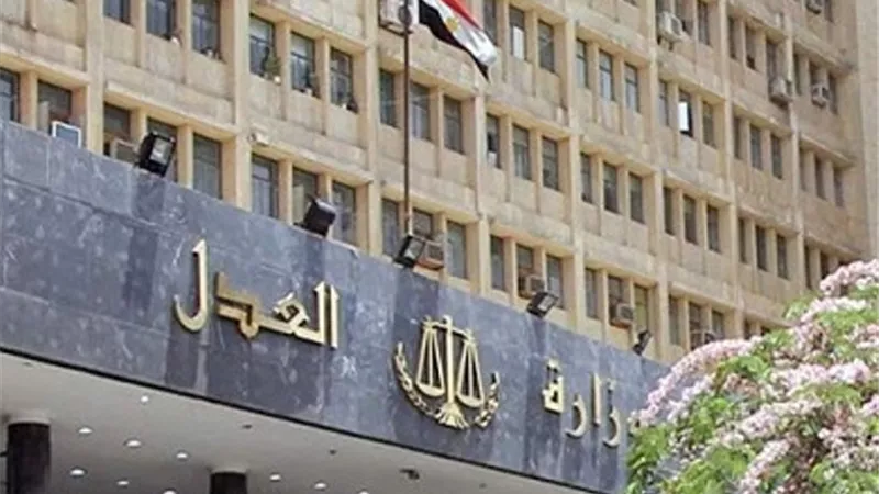 مساعد وزير العدل : العمليات المميكنة في رفع الدعاوى تقلل من الوقت اللازم للمحامي ويجنب إهدار النفقات