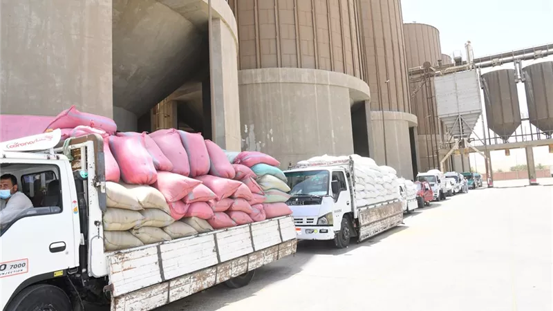 توريد ١٦٩ ألفا و ١٥٦ طن قمح بقنا