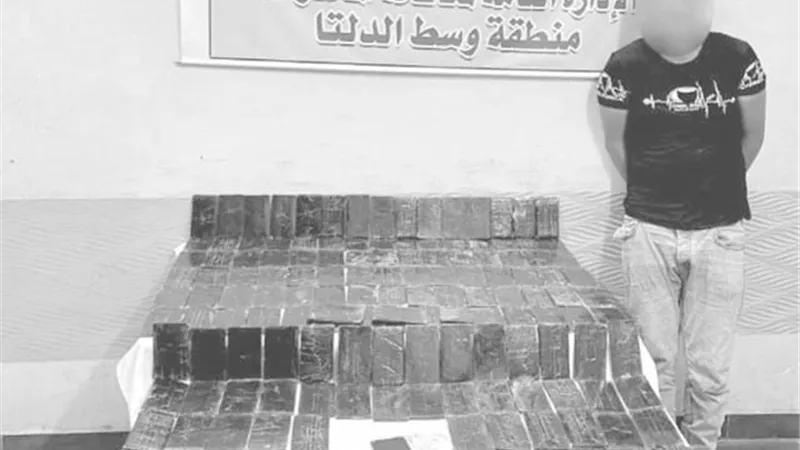 ضبط تشكيلات عصابية بالمنوفية والغربية والإسكندرية