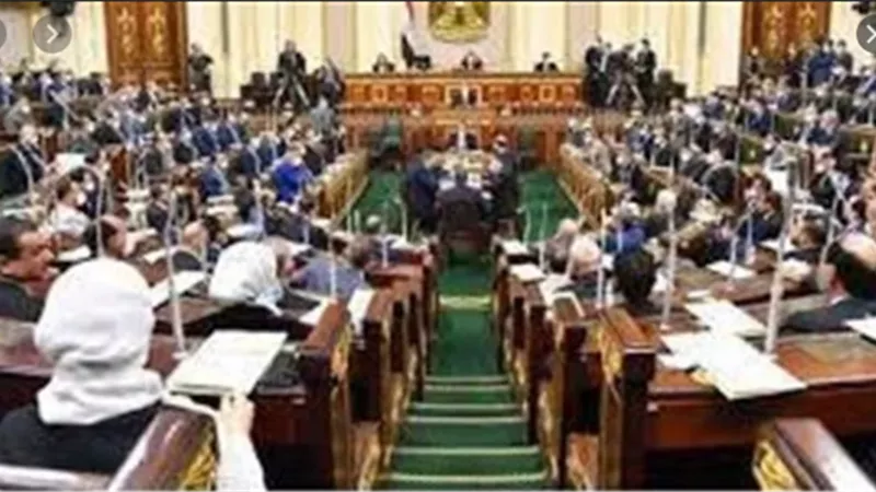 برلماني: مصر لها دور استراتيجي رائد إقليميا ودوليًا ويزداد نفوذها