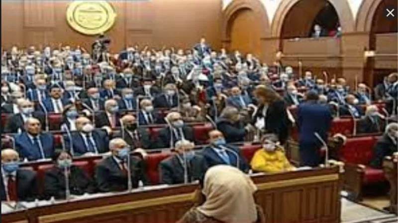 نائب: مصر تبذل جهودًا إقليمية رائدة في مجال مكافحة الهجرة الغير الشرعية