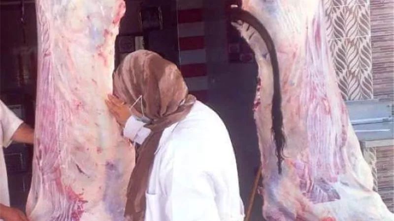 بيطرى الشرقية يحرر 32 محضر ويضبط 3 أطنان لحوم فاسدة.. بالصور