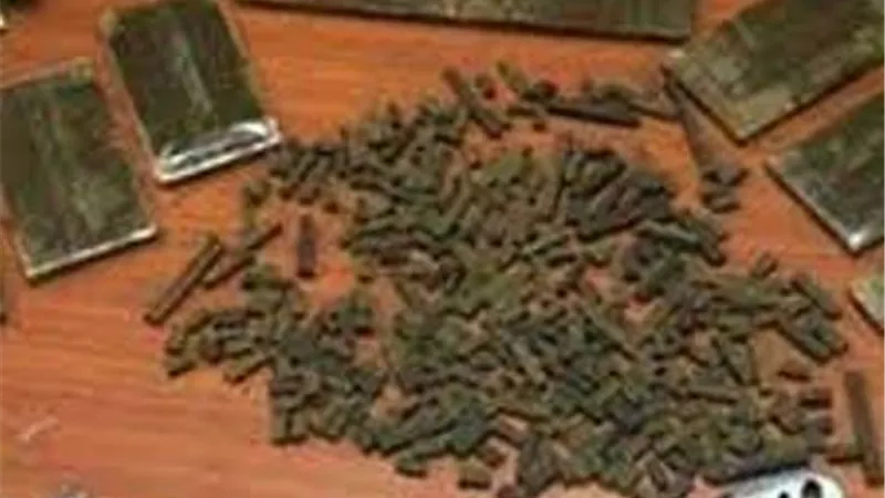 ضبط عاطل يتاجر في الأسلحة النارية والحشيش بالقليوبية