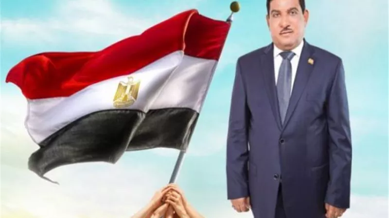 النائب حمدى سعد يطالب بسرعة صيانة كشافات الإنارة في مركز نقادة