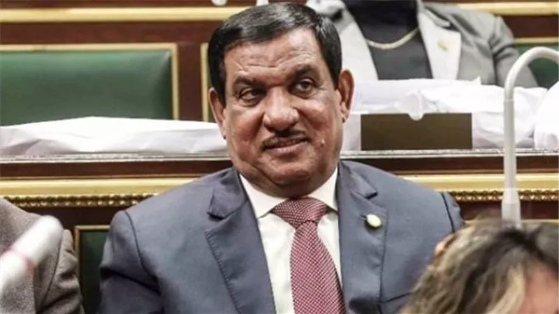 نائب نقادة يطالب برصف طريق 