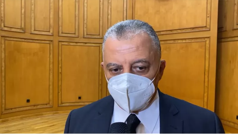 المحكمة الدستورية العليا: الرئيس السيسي حريص على تعزيز العلاقات المصرية - الأفريقية