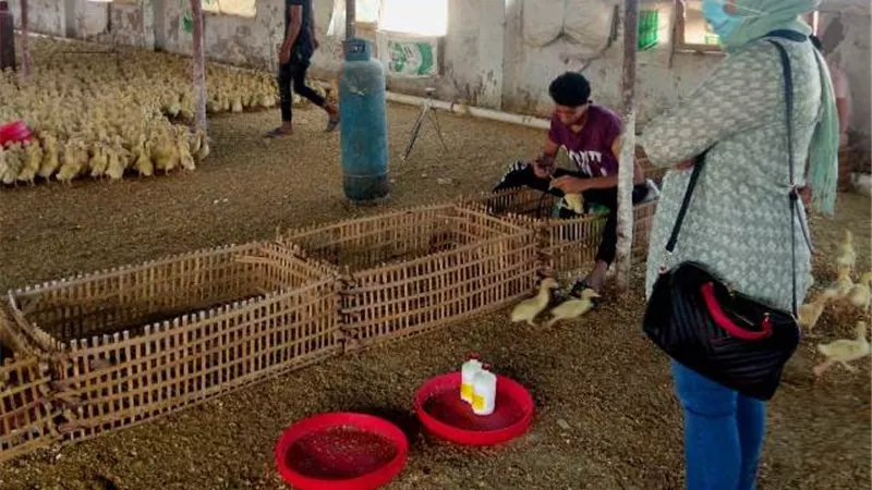 تحصين 68 ألف طائر ضد انفلونزا الطيور فى الشرقية.. بالصور