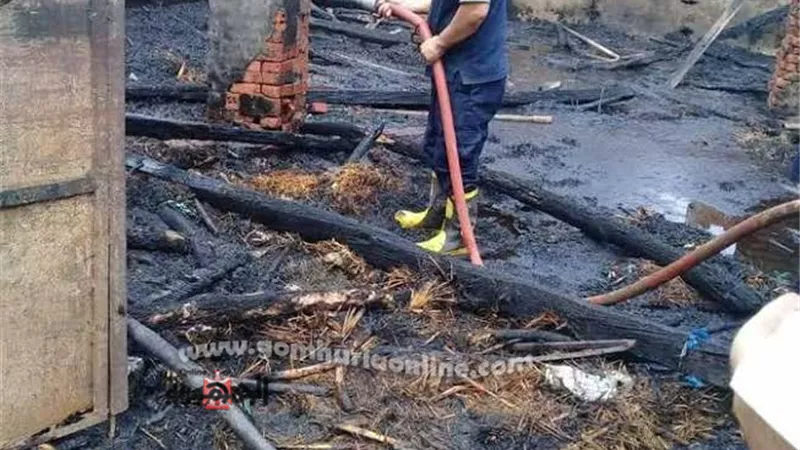 نفوق ٤ رؤوس ماشية فى حريق بقنا