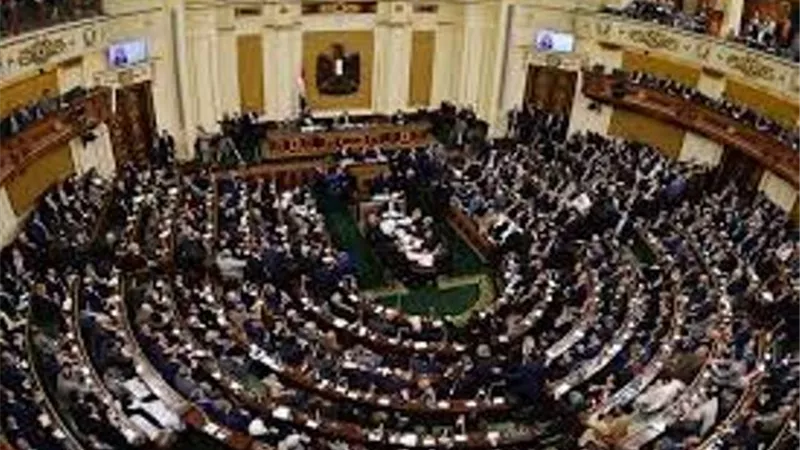 برلماني: خلال ٧سنوات٠٠ وزارة الزراعه انتهت من 320 مشروع بأكثر من 40 مليار جنيه