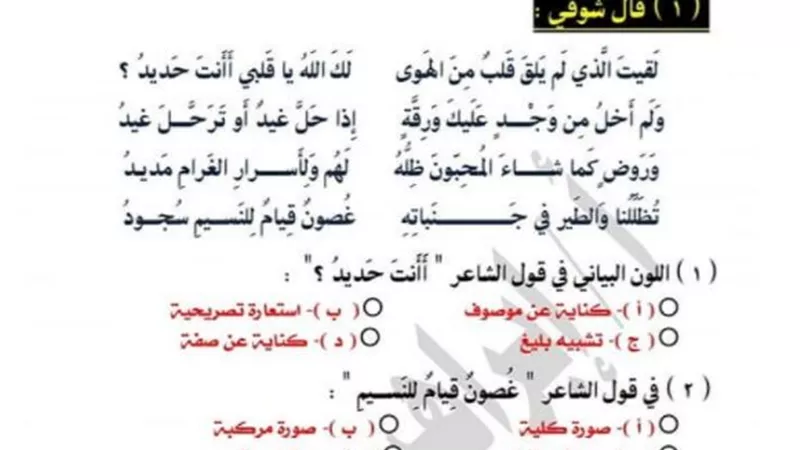 مراجعات نهائية