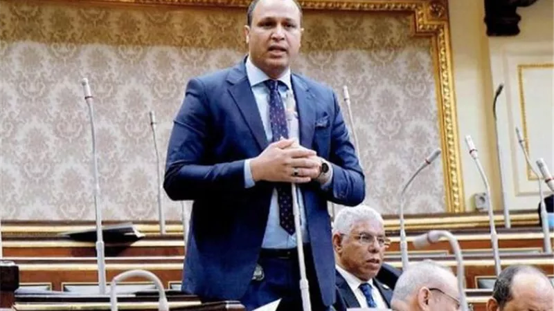 النائب محمد طلبة يزف بشرى سارة لأهالي القنطرة بزيادة مساحات زراعة الأرز