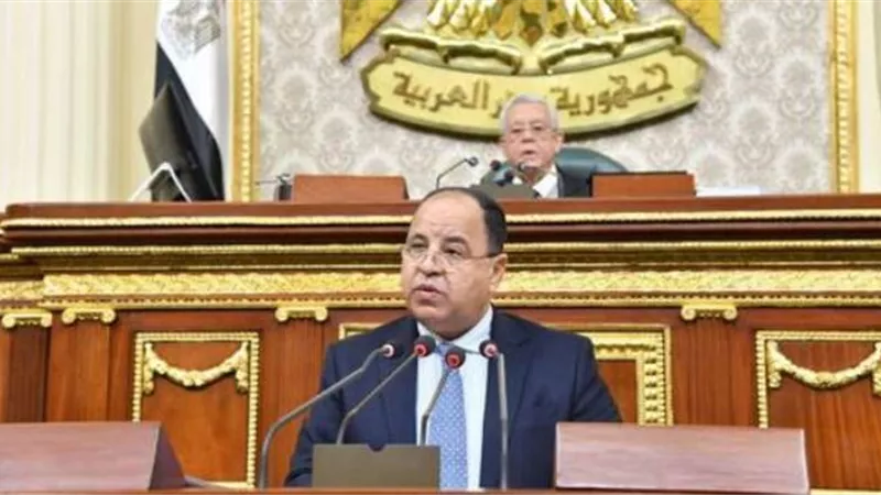 وزير المالية للنواب: المنظمات الدولية أشادت بالإصلاح الاقتصادي المصرى
