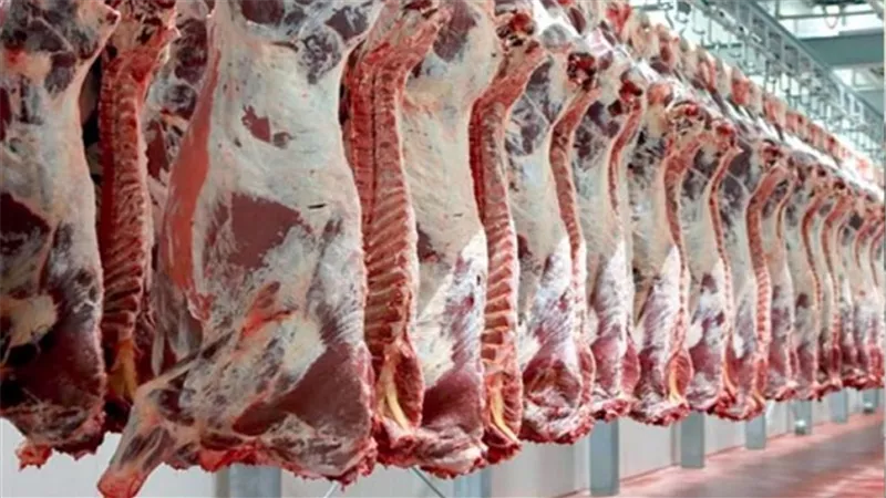 بيطرى المنيا يحرر 23 محضراً لمحلات الجزارة