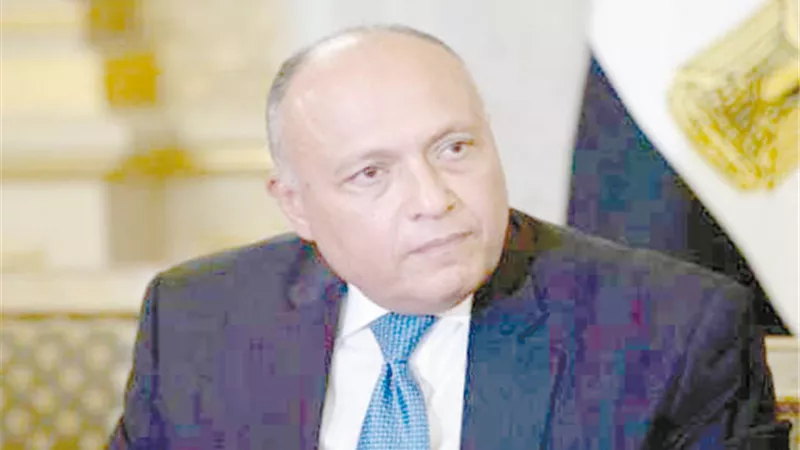 شكري في الدوحة.. ويحمل رسالة من السيسي لـ 