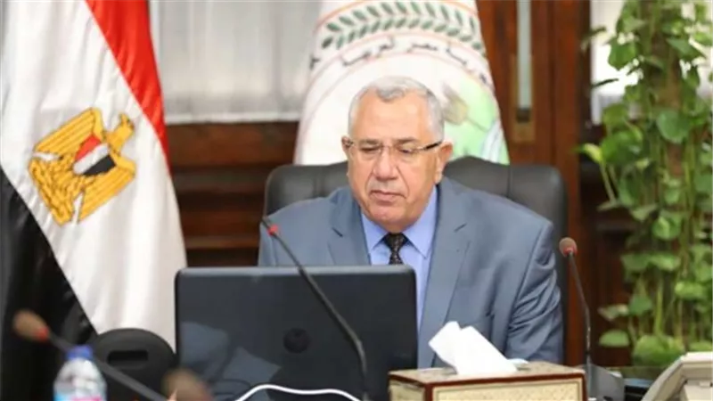 القصير: مصر شهدت نهضة حقيقية في مجال تنمية الثروة الحيوانية والتلقيح الاصطناعي وتحسين السلالات