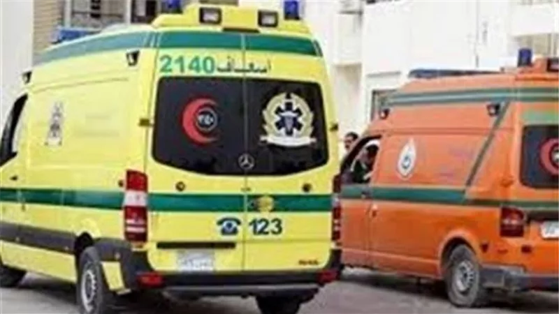 اصابة طفل بنزيف فى المخ صدمته سيارة اثناء عبور الطريق فى الدقهلية