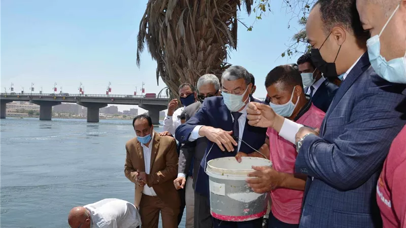 3 مليون زريعة سمك فى نهر النيل بالمنيا وابوقرقاص