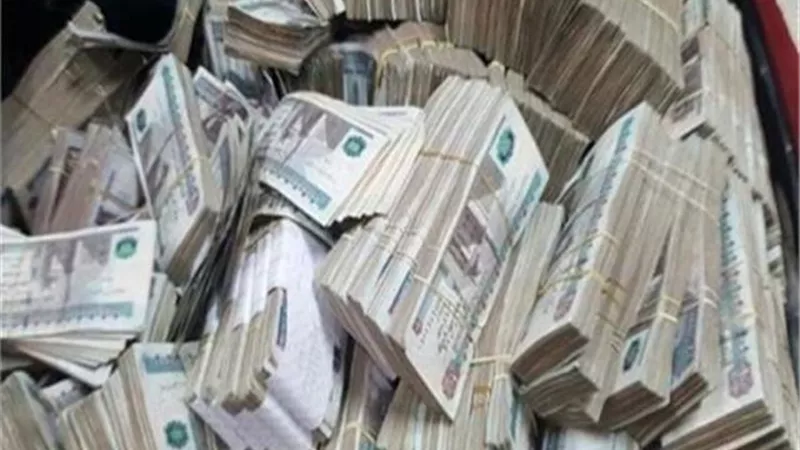 ضبط سيدة لتجميعها مدخرات العاملين بالخارج بالعملة الأجنبية واستبدالها بالجنيه المصري