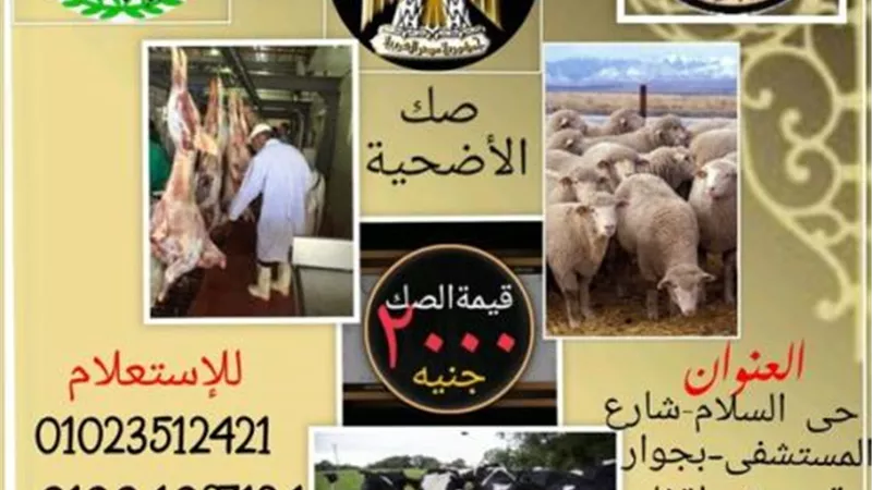 أوقاف الإسماعيلية تطرح صكوك الأضاحي بسعر 2000 جنيه