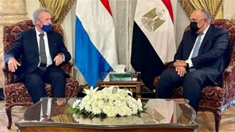 وزير الخارجية: هناك تفهم أوروبى لقضية سد النهضة