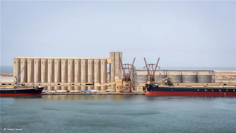 ٧٠ ألف طن بضائع عامة وتصدير ٣٣٠ حاوية خضار وفاكهة إلى الخليج وأوروبا والهند والصين إجمالي التداول بميناء دمياط