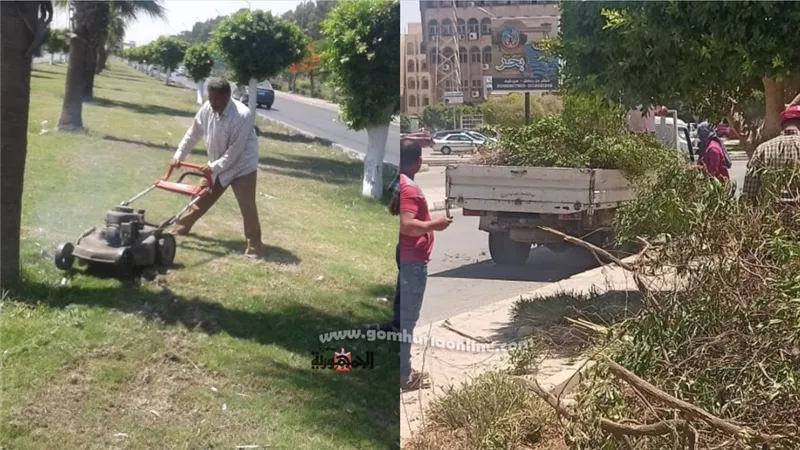 رفع كفائة الحدائق العامة وتنسيق المحاور الزراعية بمدينة العاشر