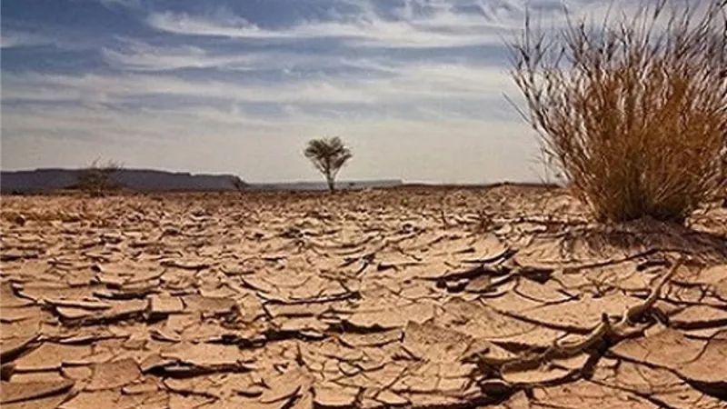 فى اليوم العالمى لمكافحة التصحروالجفاف.. استعادة الأراضي المتدهورة يمثل أهمية اقتصادية كبرى