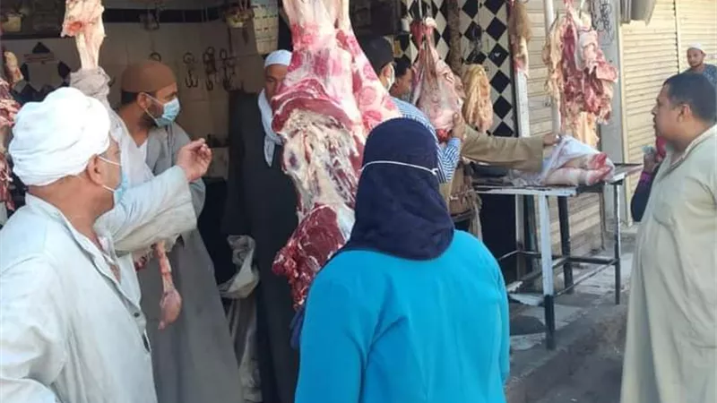 ضبط ومصادرة 110 كيلو لحوم غير صالحة للاستهلاك الآدمي بسوهاج .. صور