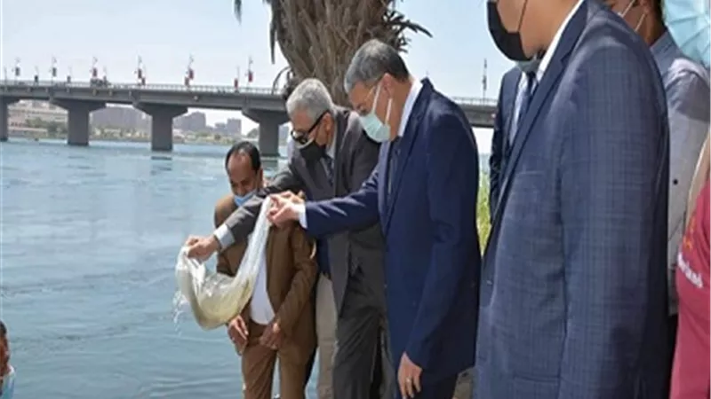هيئة الثروة السمكية تلقى 3 مليون وحدة زريعة البلطى في نهر النيل