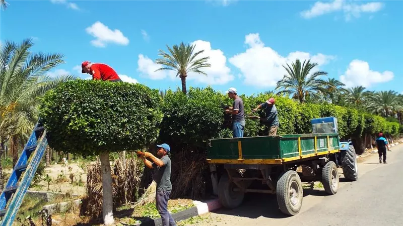 محافظ كفرالشيخ يتابع حملات النظافة واستكمال اعمال رفع كفاءة الشوارع الميادين بمصيف بلطيم