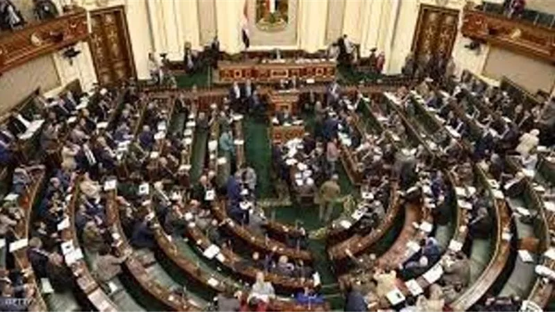 برلمانى يطالب بتوفير الاسمدة للمزارعين ونقل خطوط الضغط العالى بسوهاج