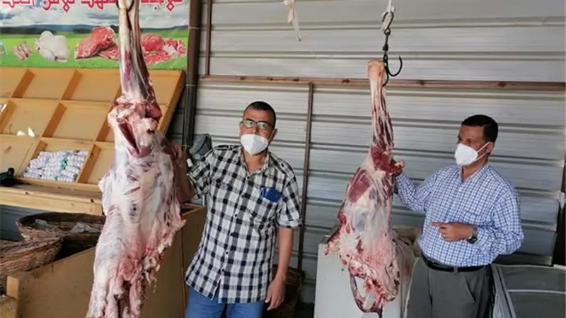 ضبط ٧٧ كيلو لحم جملي ذبح خارج المجزر بالشلاتين
