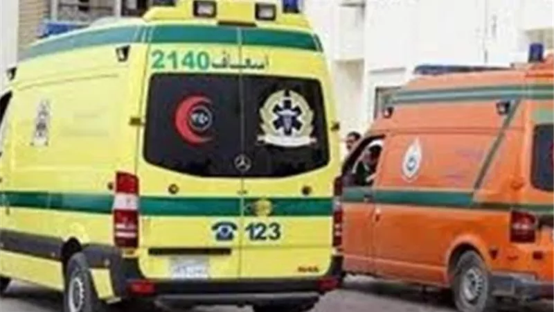 اصابة ربه منزل في تصادم ملاكي وجرار زراعي بالدقهلية