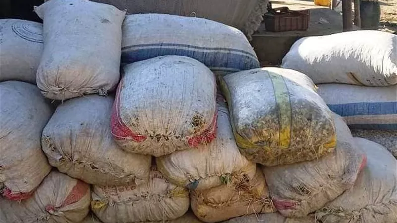 تنفيذ ١٤٧٨٩ مشروعا بتكلفة ٢ مليار و٢٧٣ مليونا و ١١٦ ألف جنيه بالشرقية