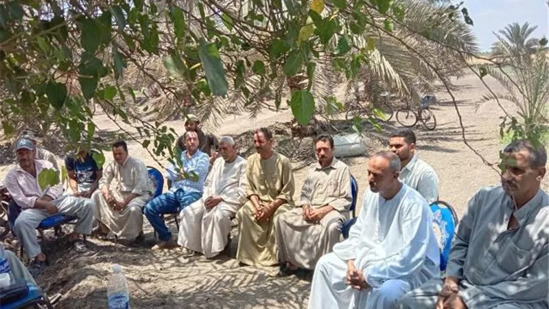 الزراعة تنظم مدرسة حقلية للنخيل في مركز فاقوس بمحافظة الشرقية..صور