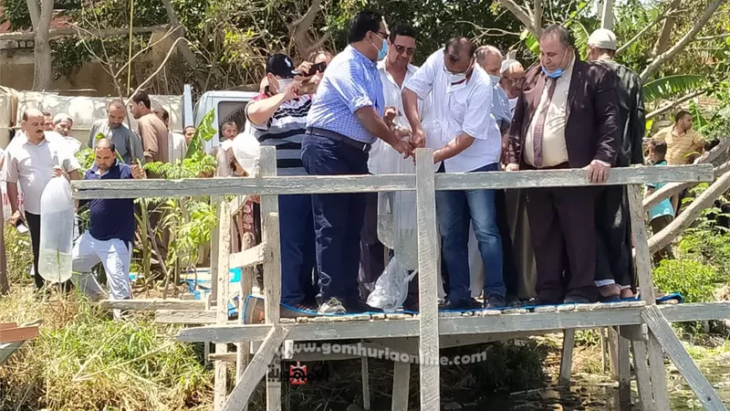 محافظ المنوفية يفي بوعده للصيادين ويعلن إلقاء 2 مليون زريعة سمك جديدة بالبحر الفرعوني ... صور