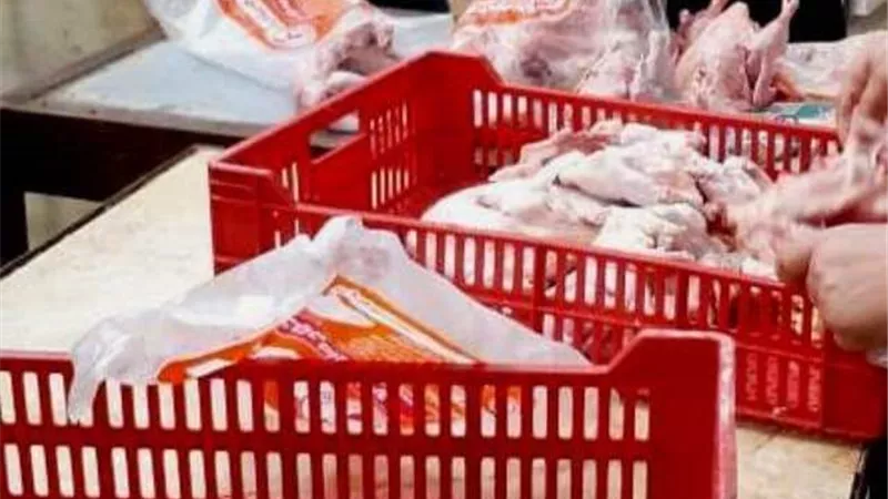 بيطري الشرقية يُحرر6 محاضر مخالفة ويضبط ختمين مزورين و1030كجم دواجن ولحوم وكبده مخالفة