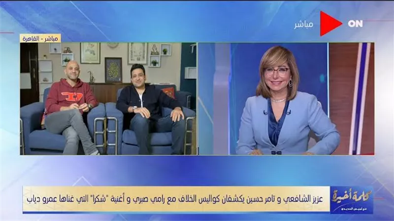 الشاعر تامر حسين: 