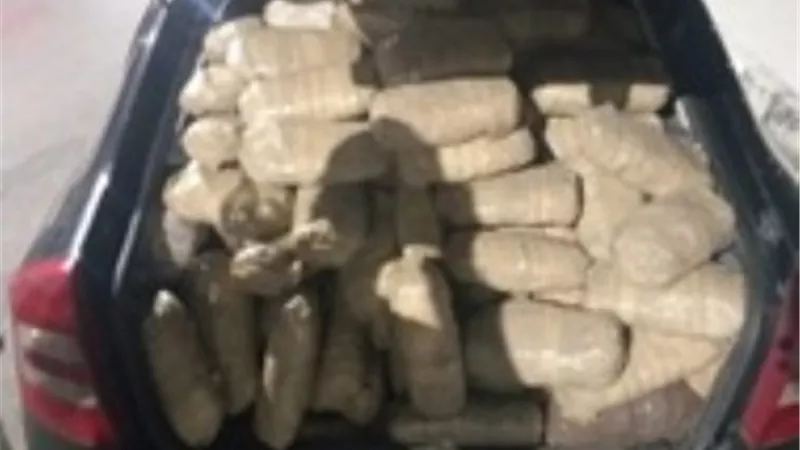 إحباط محاولة تهريب 756 طربة حشيش و247 لفافة بانجو و5 كيلو أفيون بمحور قناة السويس